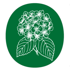 L'Ortensia
